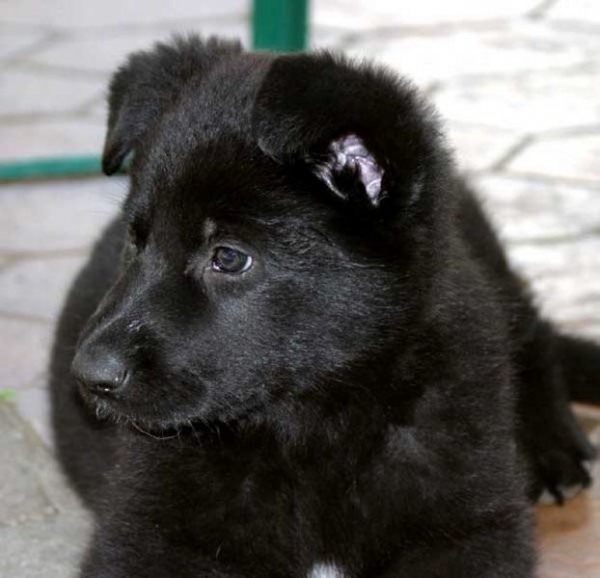 Galerie Blue dreihundenacht.de