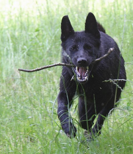 Galerie Blue dreihundenacht.de