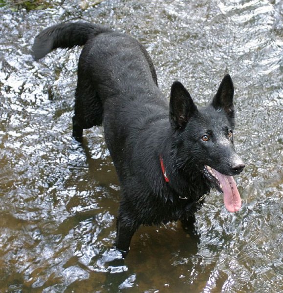 Galerie Chicka dreihundenacht.de