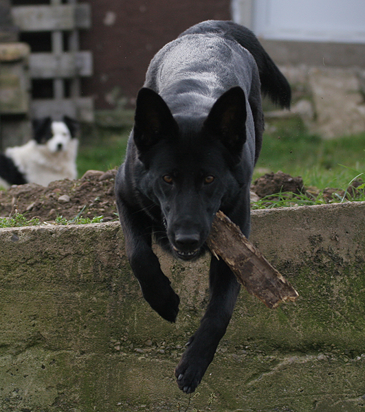 Galerie Blue dreihundenacht.de