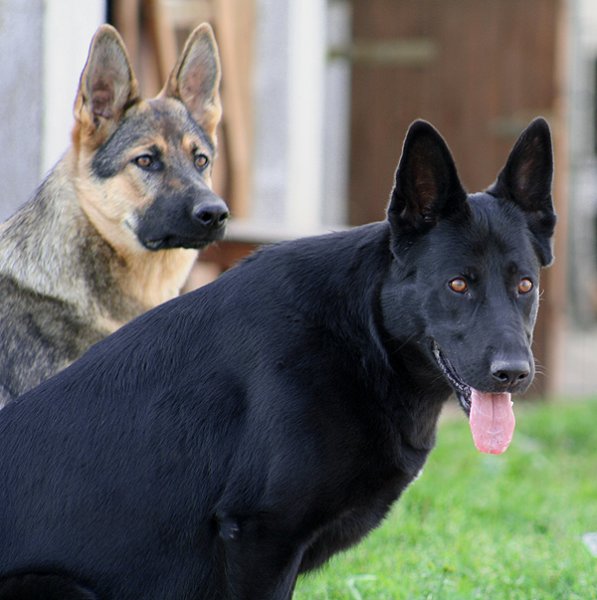 Galerie Blue dreihundenacht.de