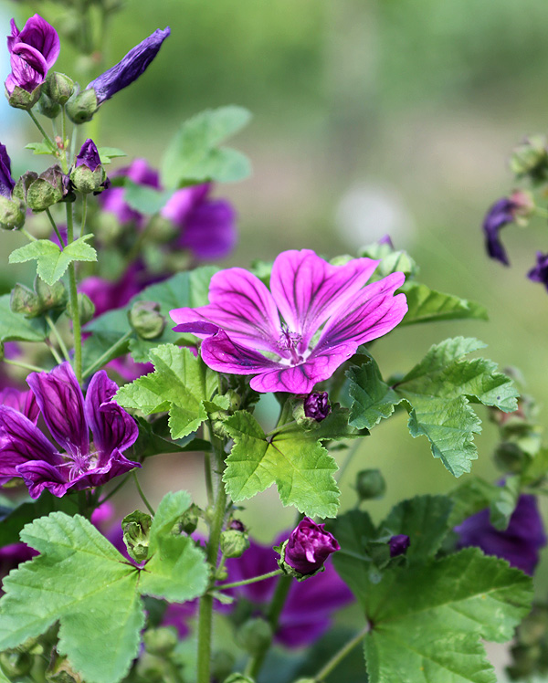 Galerie Peyrissaguet, France dreihundenacht.de