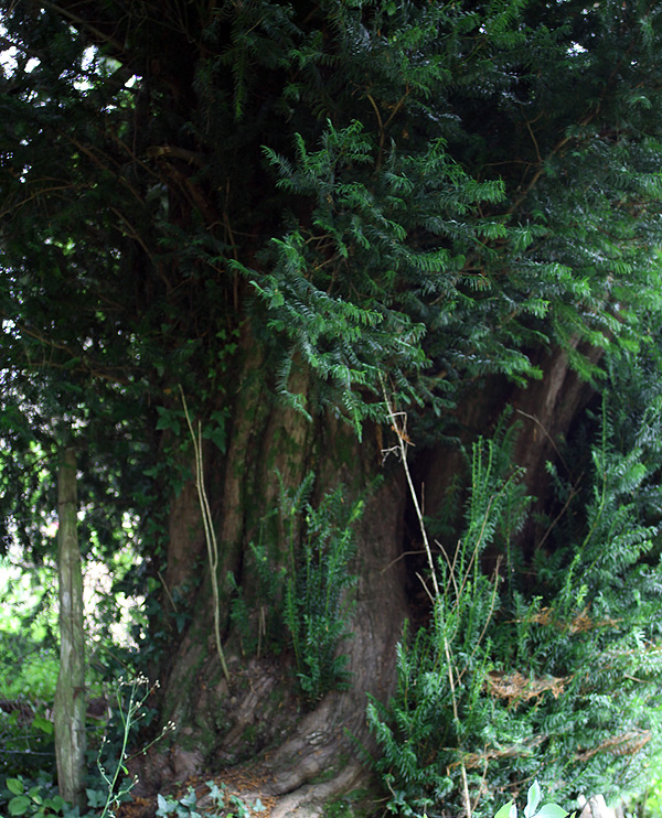 Galerie Peyrissaguet, France dreihundenacht.de